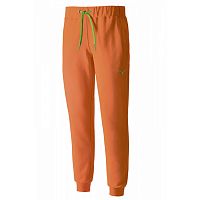 Мужские спортивные брюки Mizuno Rib Pants (K2ED6124-54)