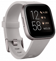 Смарт-часы Fitbit Versa 2 Stone/ Mist Grey